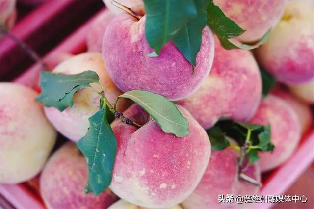 不限次入园！楚雄一景区门票年卡、优惠卡正在办理🤩