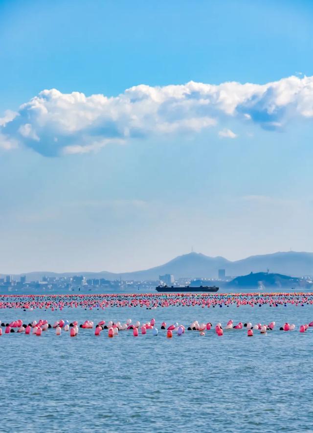不只“果冻海”！山东宝藏海岛游玩全攻略
