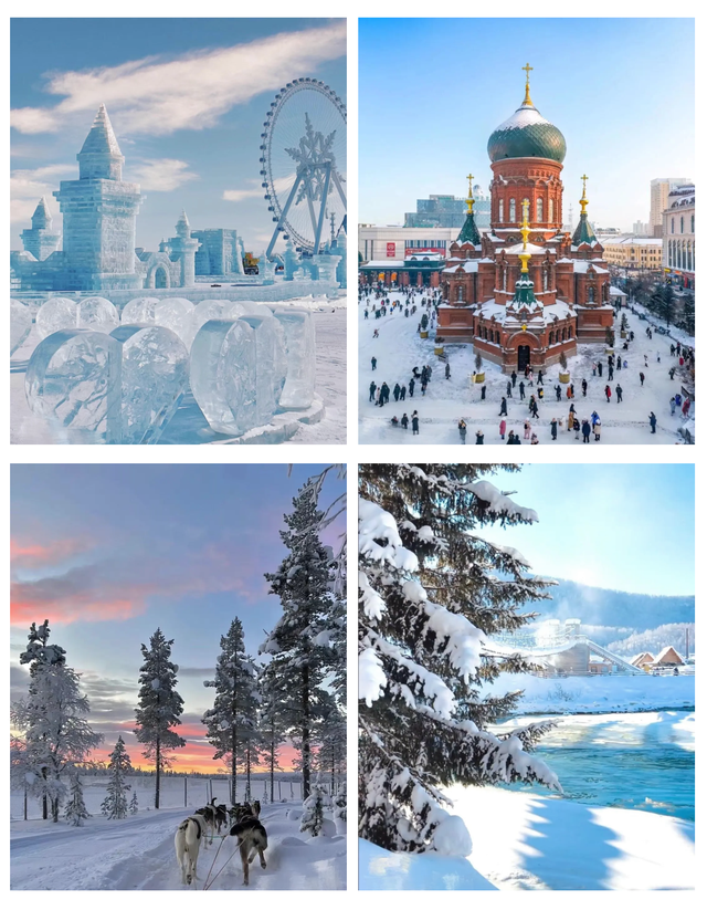 今年“尔滨”又要火？哈尔滨冬季旅游热度攀升！