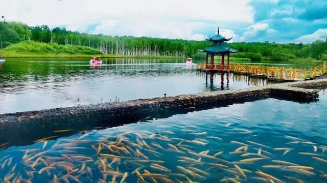 乘着高铁游白山 | “百区百景”打卡攻略之露水河长白山狩猎度假区