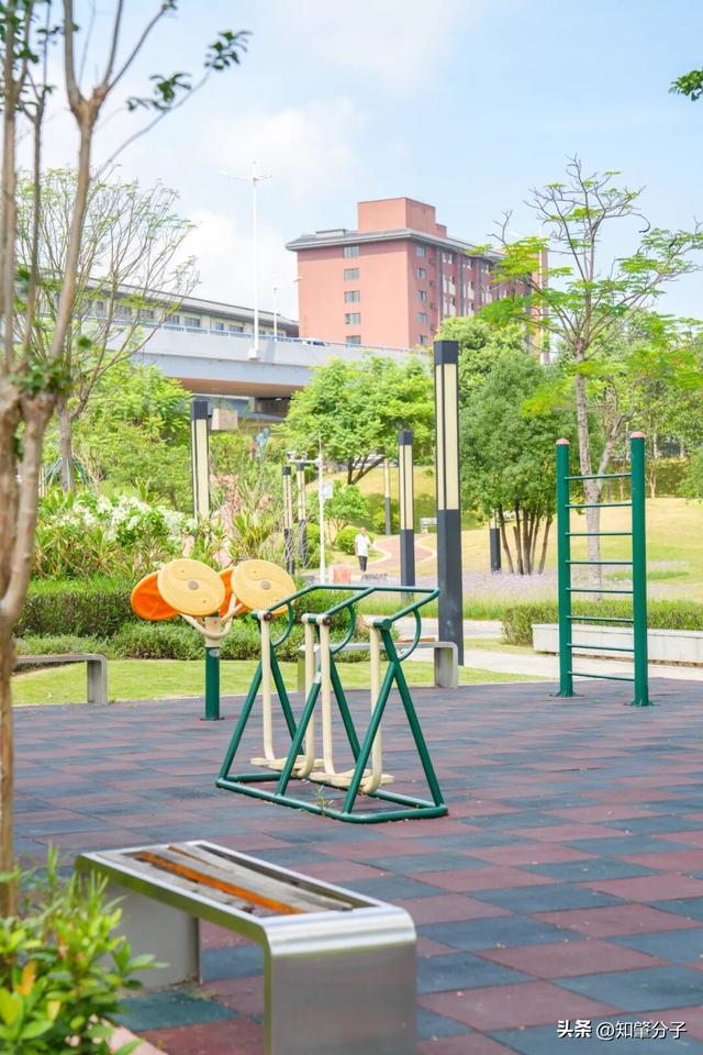 逃离城市热浪！东莞这个秘密花园藏不住了