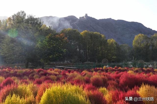 世界旅游日｜这条铁路可以赏童话般的西北秋景
