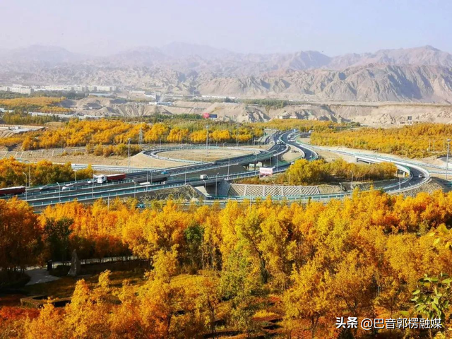 胡杨林的黄金时间来了，到巴州不只塔里木胡杨林公园，这些胡杨林，个个惊艳
