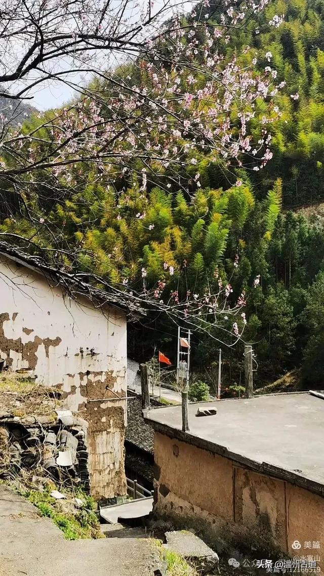 不用去西藏,仙居这里藏了个“布达拉宫”,夏日避暑静心好去处!