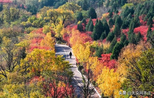四季流转 多彩枣庄 | 枣庄：凤凰绿道色彩斑斓风景如画