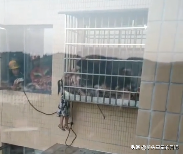 女童20楼坠落被14楼业主拽住，功劳却被邻居抢走，网友：令人心寒