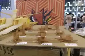 不堪入目！上海展览居然公然展出涉黄手办！吓坏10岁女生和家长！图片