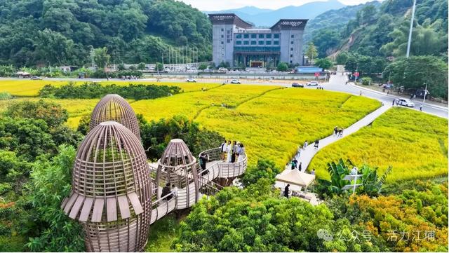 秋日必去！从化江埔5大稻田打卡攻略，邂逅金色浪漫