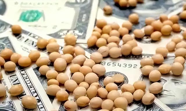 趁火打劫！巴西大豆对华猛涨价，买家集体暂停订单，静待2个时机