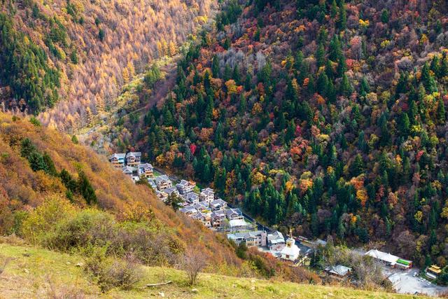 彩林观赏季，赏秋绝佳时，10月-12月适合去看的7处彩色山林