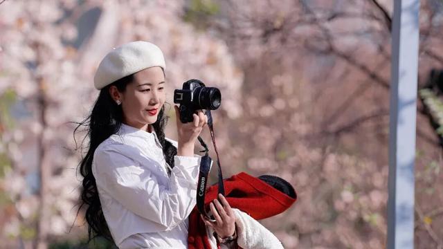 绝美！又是一年玉兰开