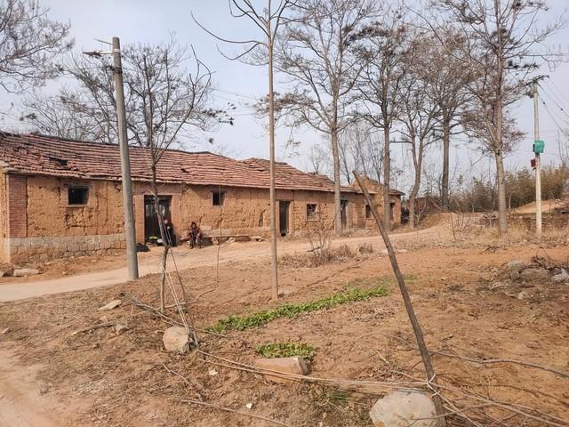 新来的女同事24岁，第一天就问我：哥，听说你是公司“老司机”