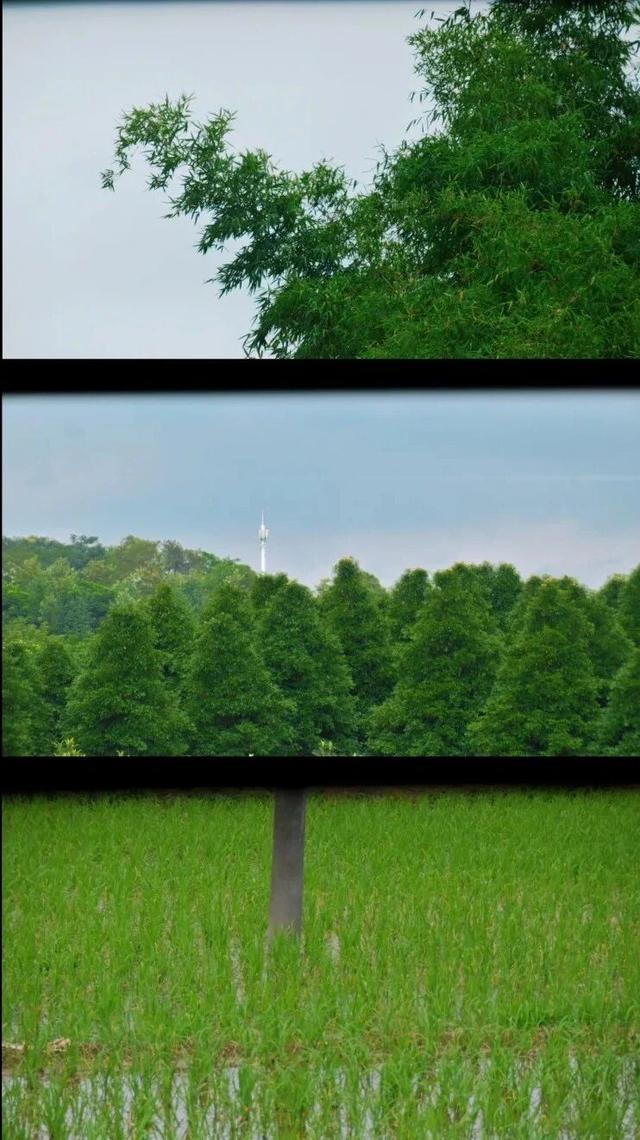 新发现一个宝藏地！5元斋饭，20元包吃住，成都市区这个寺庙值得