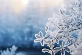 老人不断折腾子女究竟是为了什么？图片