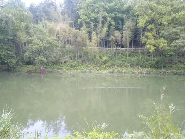 浏河滚滚欲留春，独向芳踪觅雅意——徒步小溪河散记（九）