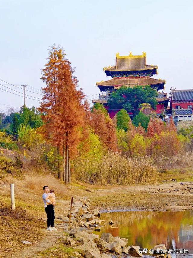 公交直达冬日限定“小东非”，带娃解锁长沙safari隐藏玩法！