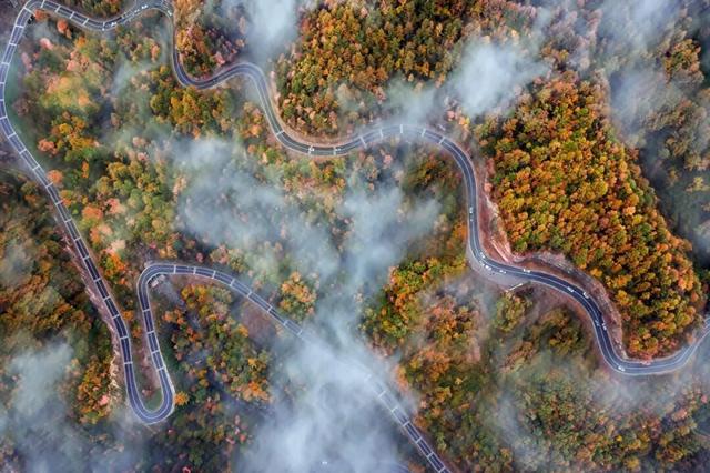 盐井峡红叶指数全省第二！这份专属赏秋攻略请查收