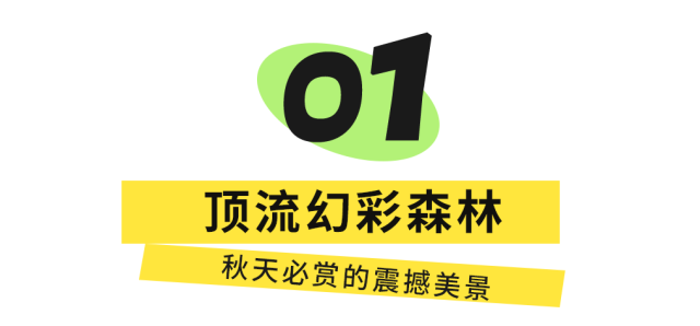 红了！成都周边18个顶级赏秋地更新！最快30min刹拢，最佳观赏期已到！速冲！