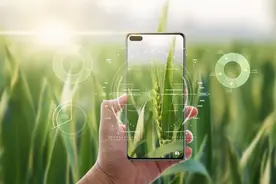智慧农业助力粮食生产节本增产增效的“九步法”图片