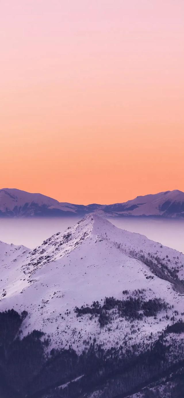 壁纸｜小事藏欢，日子满甜
