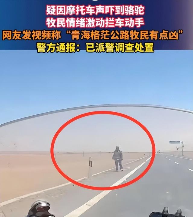 打游客男子社会性死亡！青海文旅一年又白干，牧民被扒，难怪嚣张