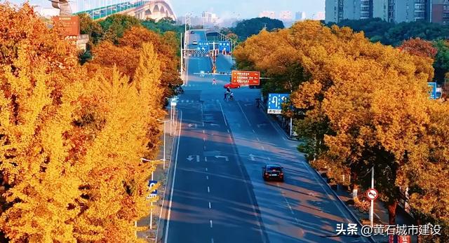 限时绝美!黄石街头颜值巅峰 周末来打卡