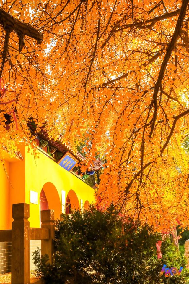 顶流“约会”，主角2500岁 ！潍坊安丘城顶山！