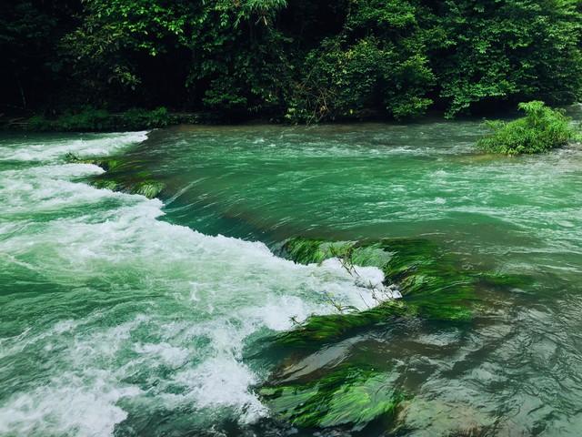 本以为新疆够美了，直到去了荔波，水上森林把翠绿叠成浪