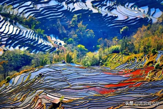 元阳梯田:大地色彩与光影交响