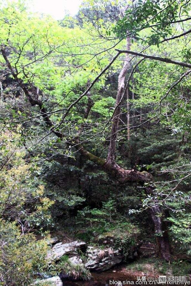 水口景区小记（江西之旅第八十八篇）