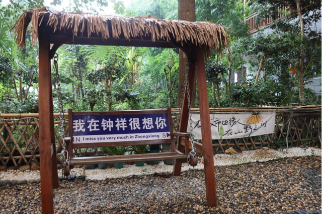 钟祥毕家湾：民宿经济盘活了城市边的小乡村