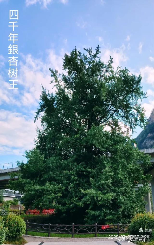 秦岭深处好风光——汉中三日骑游环线寻凉记！
