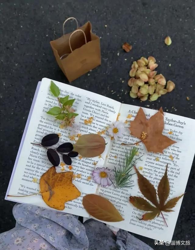 🤏捡捡捡,淄博惊现“捡秋”大神!海岱楼、周村大街…全被捡出来了→