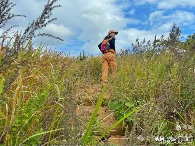 秋风起，浙江这条绝美海岛风光徒步穿越线路，可以安排了！