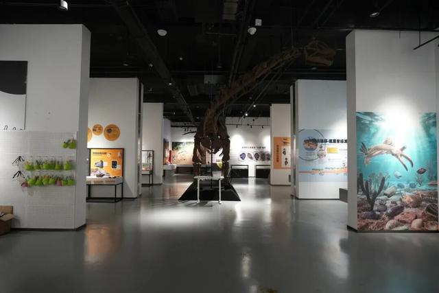 临沂初冬“热”出圈！打卡攻略赶紧码