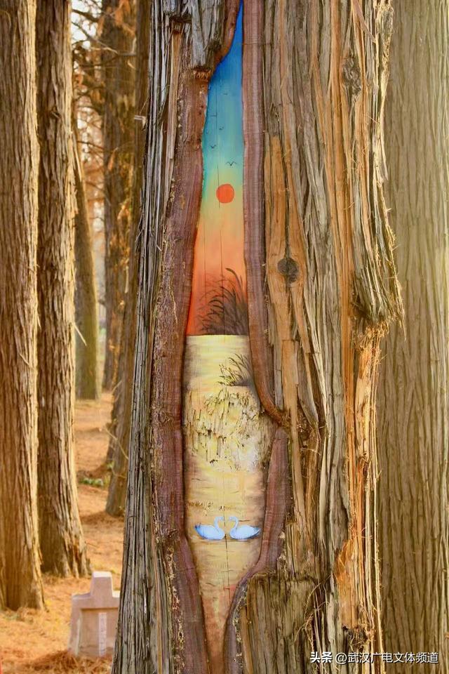 再启新章 武汉东湖梅园将于2026年1月1日开园