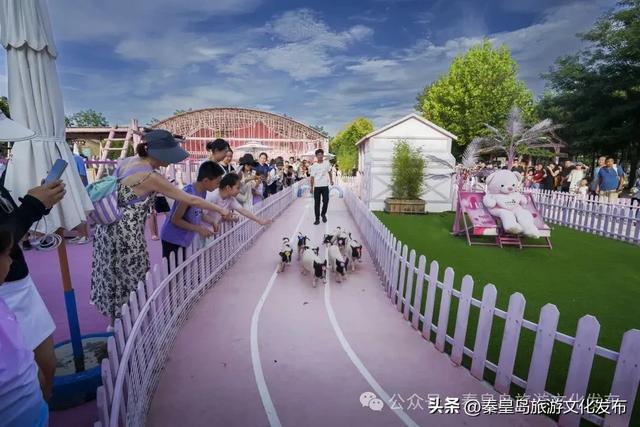 秦皇岛渔岛景区最新演出时间表出炉！一键收藏嗨玩不迷路！​​