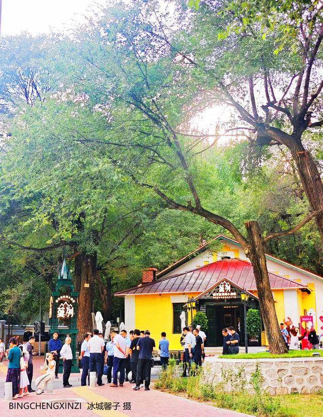 徜徉花园街区：与哈尔滨的温柔时光重逢