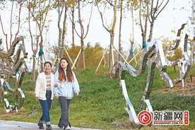 乌鲁木齐市沙依巴克区骑马山游园将马元素融入园林设计图片