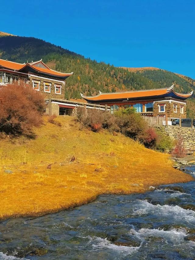 停停停！甘孜秋天美得太快了我看不过来