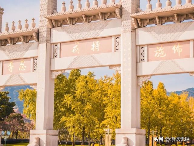 拥堵预警！这周末大家都去......