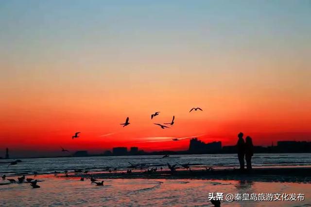 今年暑期，秦皇岛文旅热度攀升，持续“霸榜”！一起回顾秦皇岛夏日记忆~