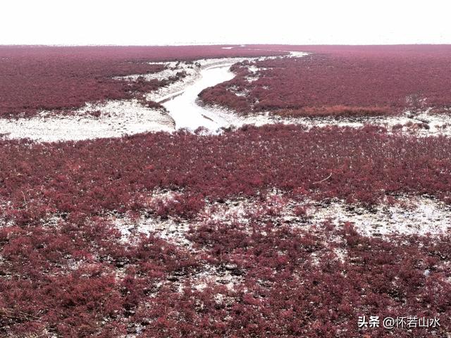 2025辽宁赏秋之旅日记(5)——从本溪前往盘锦 游览红海滩景观