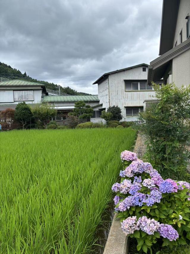 富士山下，谁能凭爱意要富士山私有