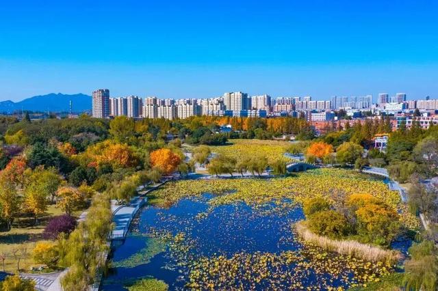 打卡限时浪漫，一键收藏隐珠街道最美秋色！