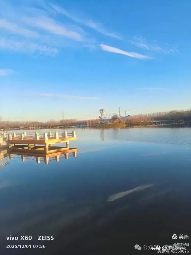 初冬北京朝阳坝河金盏淀:清寒里的静美画卷|申艳娟