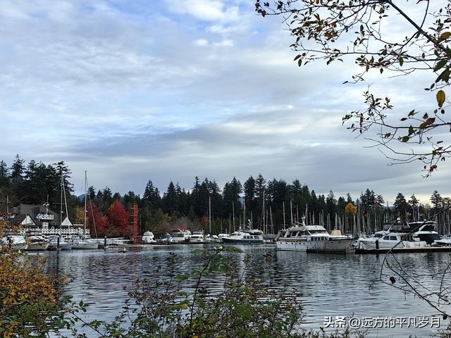 温哥华游记（一）