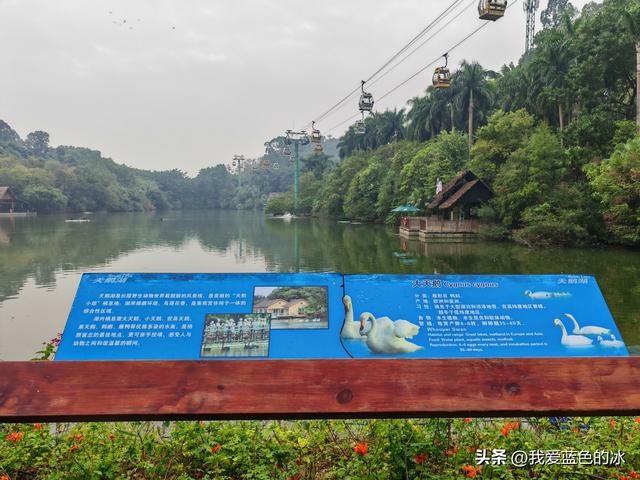 参观广州长隆野生动物园，全程感觉眼累手累腿不累