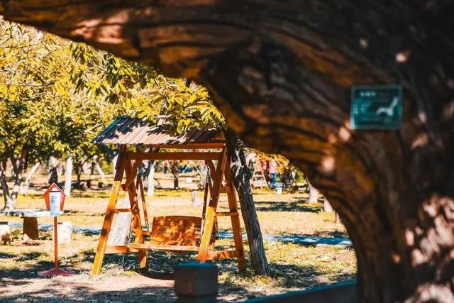 首发动态 | 水长城，藏着北京最美的秋天