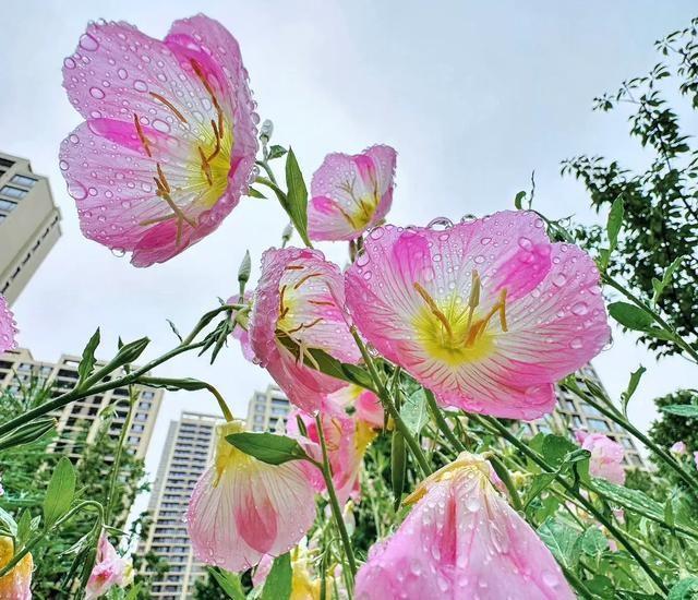 陕西迎来大雨暴雨天气，9月29～30日天气，主要分布如下地区